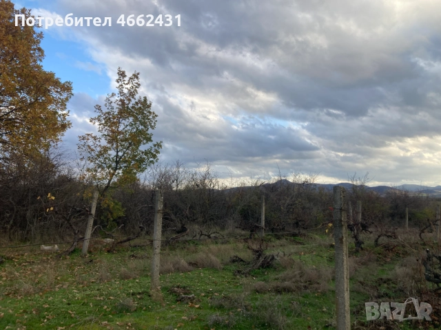  Парцел 2320 м2 - отличен за лозе/градина/пчелин, до път Дебър–Брягово, снимка 7 - Парцели - 52562178
