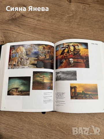 Книги - Непокорните, Салвадор Дали, Змия и гълъб, Лейди Макбет, снимка 11 - Художествена литература - 54090990