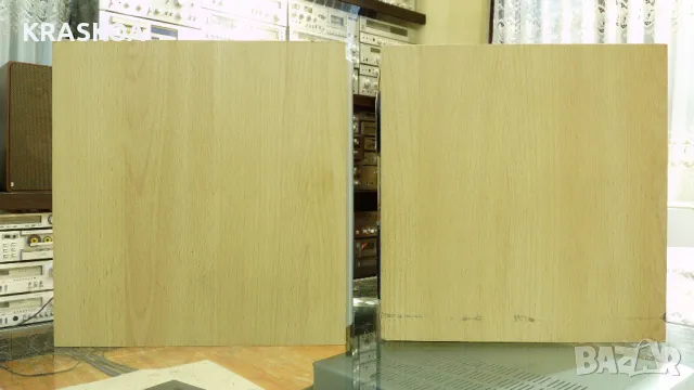 DENON SC-G101, снимка 3 - Тонколони - 48042493