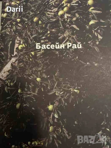 Басейн рай- Яна Лозева