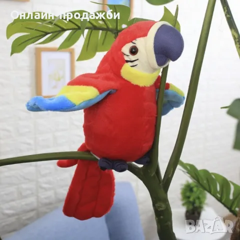 Реджи говорещ папагал, снимка 1