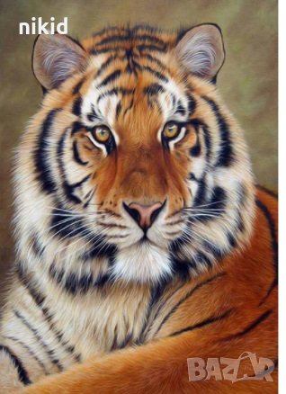 Тигър 5D гоблен диамантен гоблен картина мозайка за направа по схема с камъчета