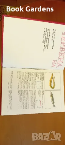 Червена книга на НРБ, снимка 4 - Специализирана литература - 56137420