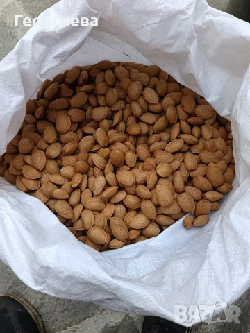 Био бадеми с твърда черупка , снимка 2 - Домашни продукти - 56158524