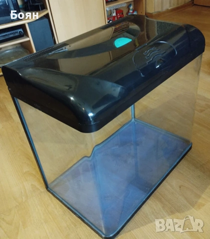 Малък терариум, снимка 6 - Хамелеон - 53988992