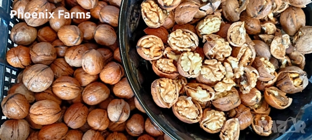 Шипки, Билков пчелен Мед, Боров прашец, коприва, пелин, снимка 2 - Домашни продукти - 50332840