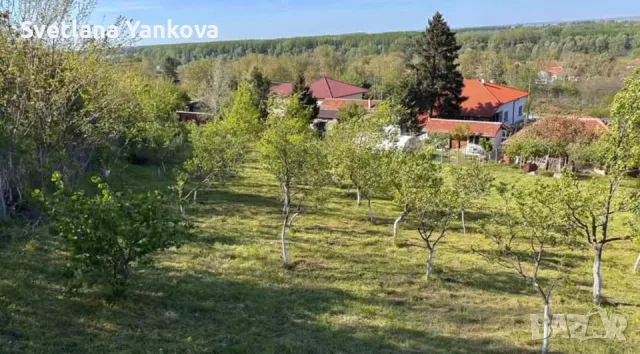 Продавам двор в Козлодуй, снимка 3 - Парцели - 56248222