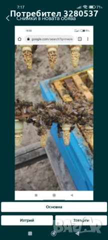 Пчелни отводки , снимка 3 - Други животни - 53895388