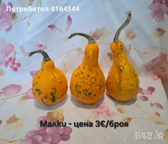 Естествени декоративни тикви, снимка 2 - Декорация за дома - 55722322