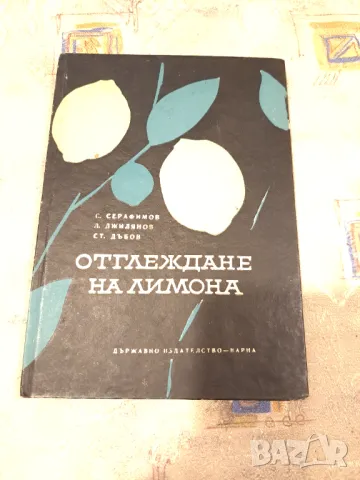 Отглеждане на лимона