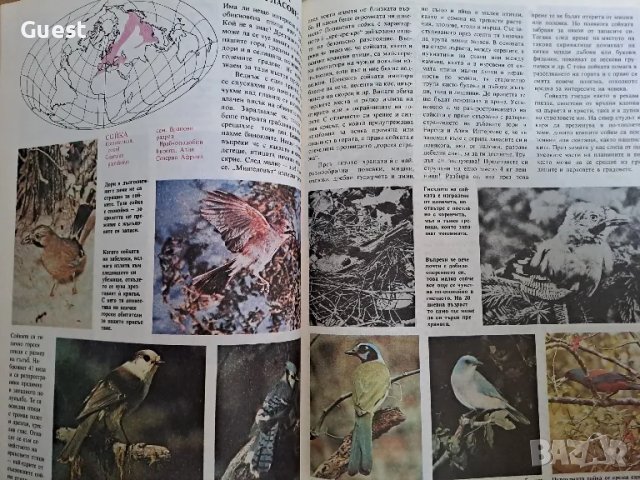 Какво знаем за ... птиците , снимка 3 - Енциклопедии, справочници - 49182606