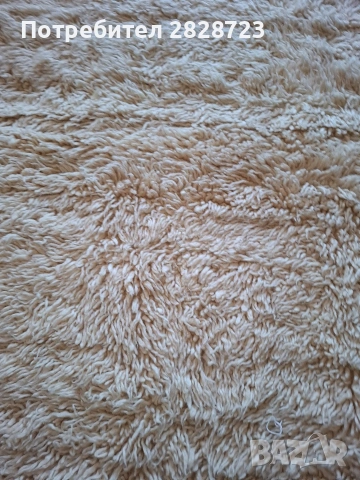 продавам китеник ,вълнен,къс косъм 