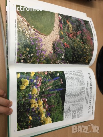 Цветна Енциклопедия - Colour Round the Year (Successful Gardening), снимка 11 - Енциклопедии, справочници - 30873246