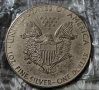 Монети , American Liberty,One dollar, E Pluribus Unum, снимка 5