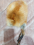 шапка от естествен косъм на лисица детски размер, снимка 11