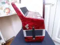 Детски акордеон Firotti 12 баса, снимка 6