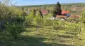 Продавам двор в Козлодуй, снимка 3