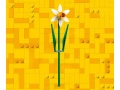 НОВИ! LEGO® Iconic 40747 Нарциси букет, снимка 4
