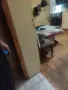 Британски котен, снимка 5