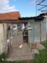 Продавам Гълаби, снимка 2