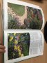 Цветна Енциклопедия - Colour Round the Year (Successful Gardening), снимка 11