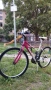 Велосипед дамски , снимка 2