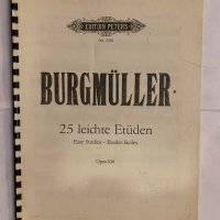 Bergmuller, снимка 1 - Специализирана литература - 31266803