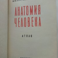 Анатомия Человека - М.Курепикина,Г.Воккен - 1963г. , снимка 11 - Специализирана литература - 39010401
