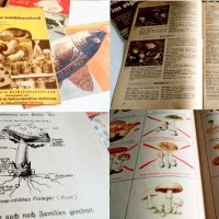 Стари кулинарни немски книги, снимка 2 - Енциклопедии, справочници - 32182646