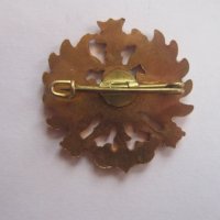 Невероятен бронзов знак значка орел емайл, снимка 3 - Колекции - 36598011