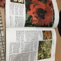 Цветна Енциклопедия - A-Z of perennials -Successful Gardening, снимка 12 - Енциклопедии, справочници - 30873235