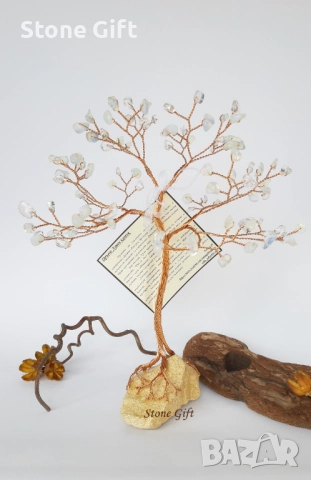 Дръвче Лунен Камък Едър , снимка 6 - Други - 52107633