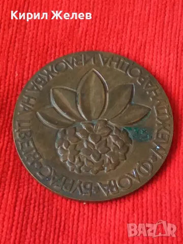 МЕЖДУНАРОДНА ИЗЛОЖБА на ЦВЕТЯ ФЛОРА БУРГАС СТАР КРАСИВ РЯДЪК ПЛАКЕТ БРОНЗ 17189, снимка 9 - Колекции - 30914182