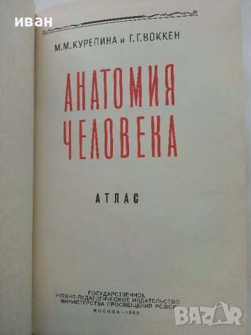 Анатомия Человека - М.Курепикина,Г.Воккен - 1963г. , снимка 11 - Специализирана литература - 39010401