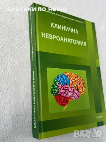 Клинична невроанатомия, снимка 3 - Специализирана литература - 54308036