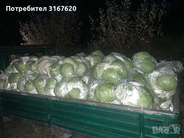 Продавам зеле!!, снимка 2 - Домашни продукти - 56120319