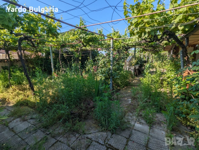 Почистване и поддръжка на дворове, градини и външни пространства в Пловдив и региона., снимка 6 - Почистване на домове - 53354295