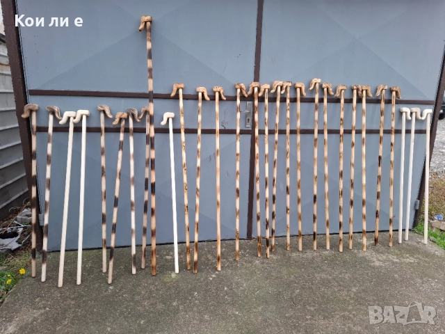 геги и криваци 