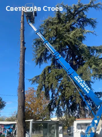 Рязане на опасни дървета, снимка 11 - Дърводелски услуги - 45384515