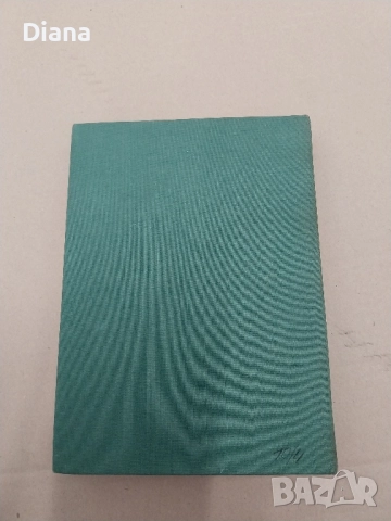 Желязната гора Николай Хайтов твърди корици , снимка 3 - Художествена литература - 51913154