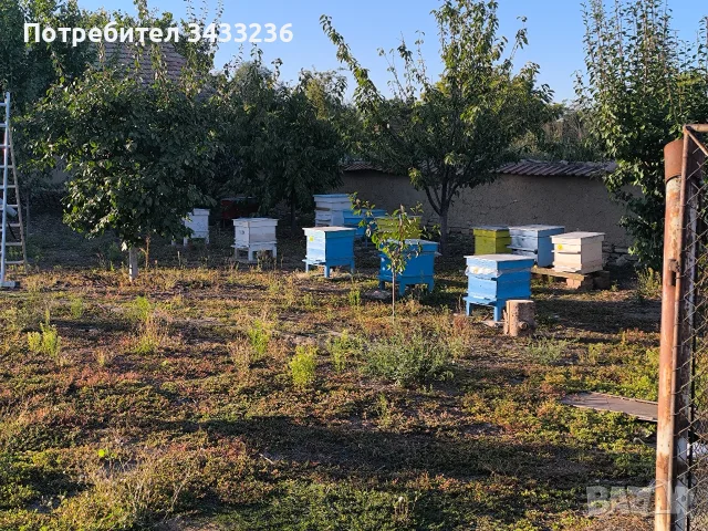 Пчелен мед полифлорен натурален , снимка 10 - Пчелни продукти - 56455406