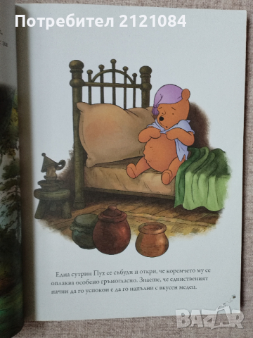 Замръзналото кралство/ Мечо Пух / Цар лъв - комплект Disney , снимка 4 - Детски книжки - 44554238