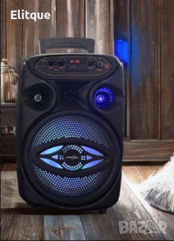 Преносима BluetootAh караоке тонколона 8'' с микрофон GTS-1700, снимка 3 - Тонколони - 52869915