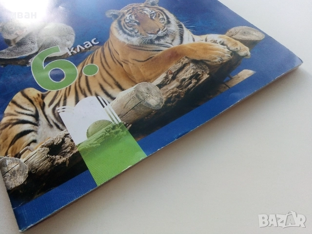 Атлас по География и Икономика за 6.клас 2017г, снимка 8 - Учебници, учебни тетрадки - 52001055