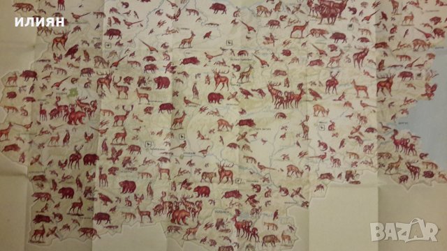 Карта на животните във България , снимка 6 - Енциклопедии, справочници - 31483482