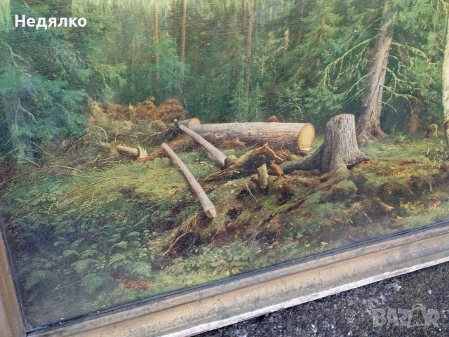 И.Шишкин,Рубка леса, картина, репродукция,1965г, снимка 10 - Антикварни и старинни предмети - 40356347