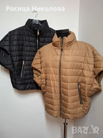 д яке в цветове 0099