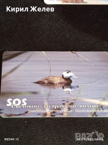 Три фонокарти тема ЖИВОТНИ БРЪМБАР НОСОРОГ,ТРЪНООПАШАТА ПОТАПНИЦА за КОЛЕКЦИОНЕРИ 50869, снимка 10 - Колекции - 51669583