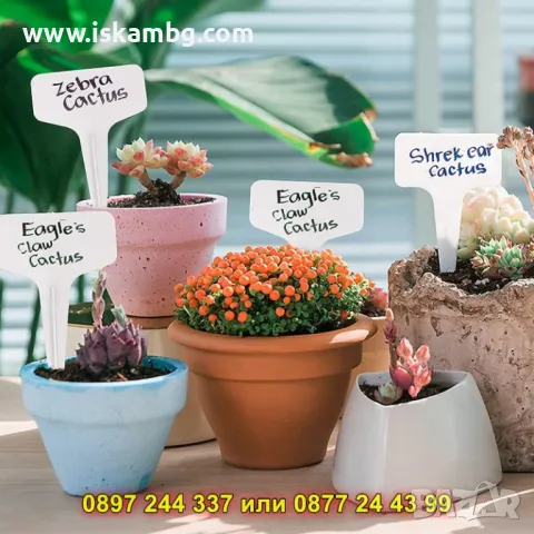 Комплект табелки за растения – 100 броя + маркер за надписване - КОД 4461, снимка 2 - Други - 50317170