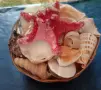 Кошница с екзотични раковини +още 2 броя. , снимка 5